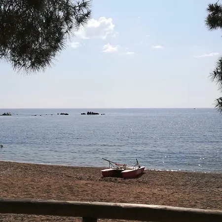Assumbra