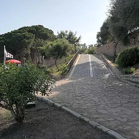 Assumbra *