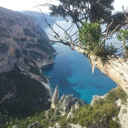 Assumbra * سانتا ماريا نافاريز